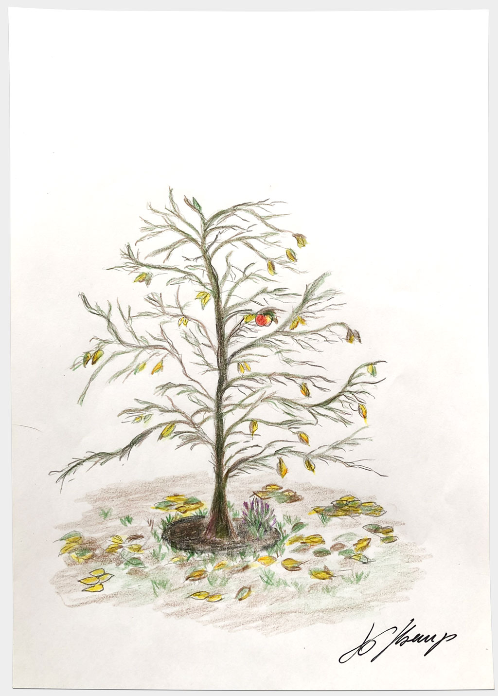Kremp, Jan-Gregor, „Ohne Titel“, 30x21 cm, Buntstift auf Papier